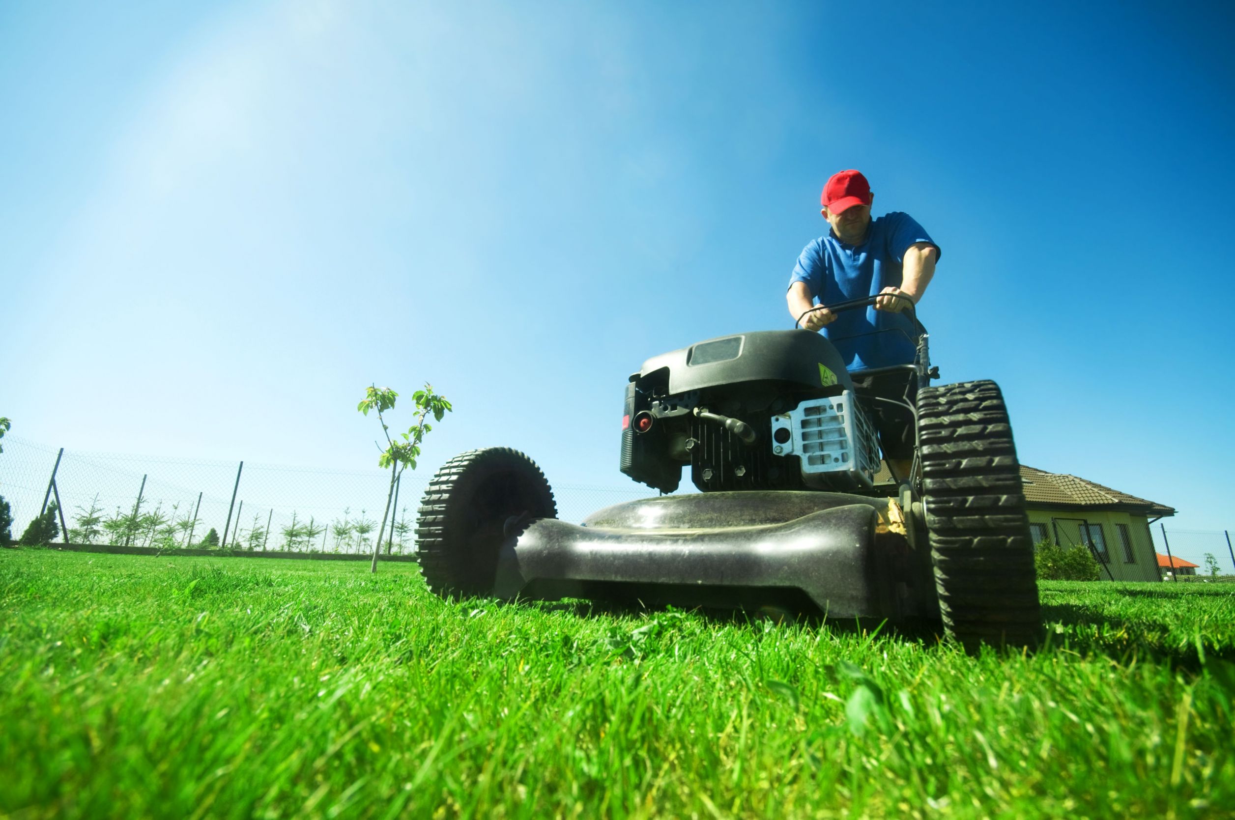 Improve Your Property with Lawn Pest Control in Southlake, TX