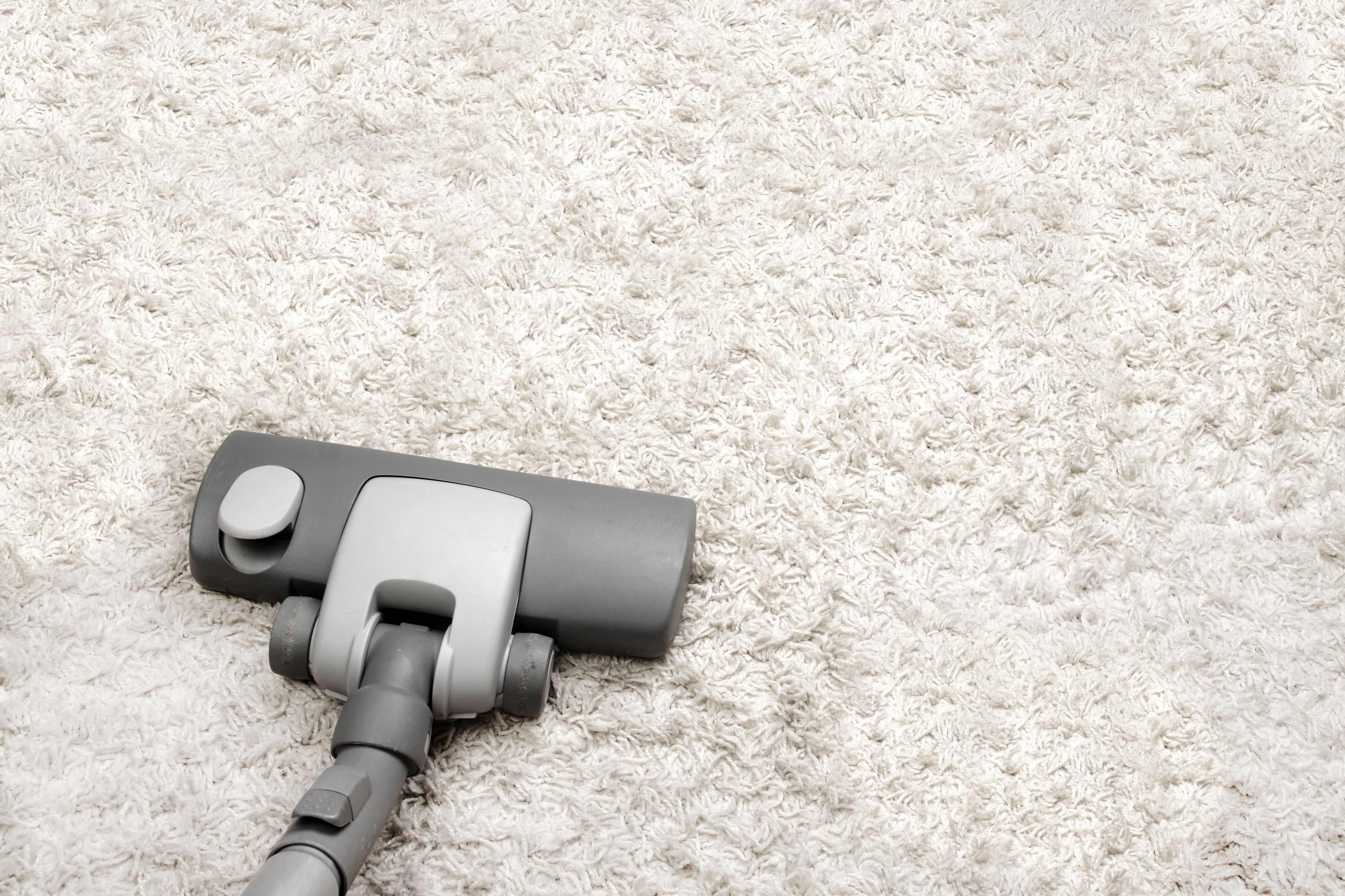 Office Carpet Cleaning in Minneapolis Should Be Professionally Done on a Regular Basis