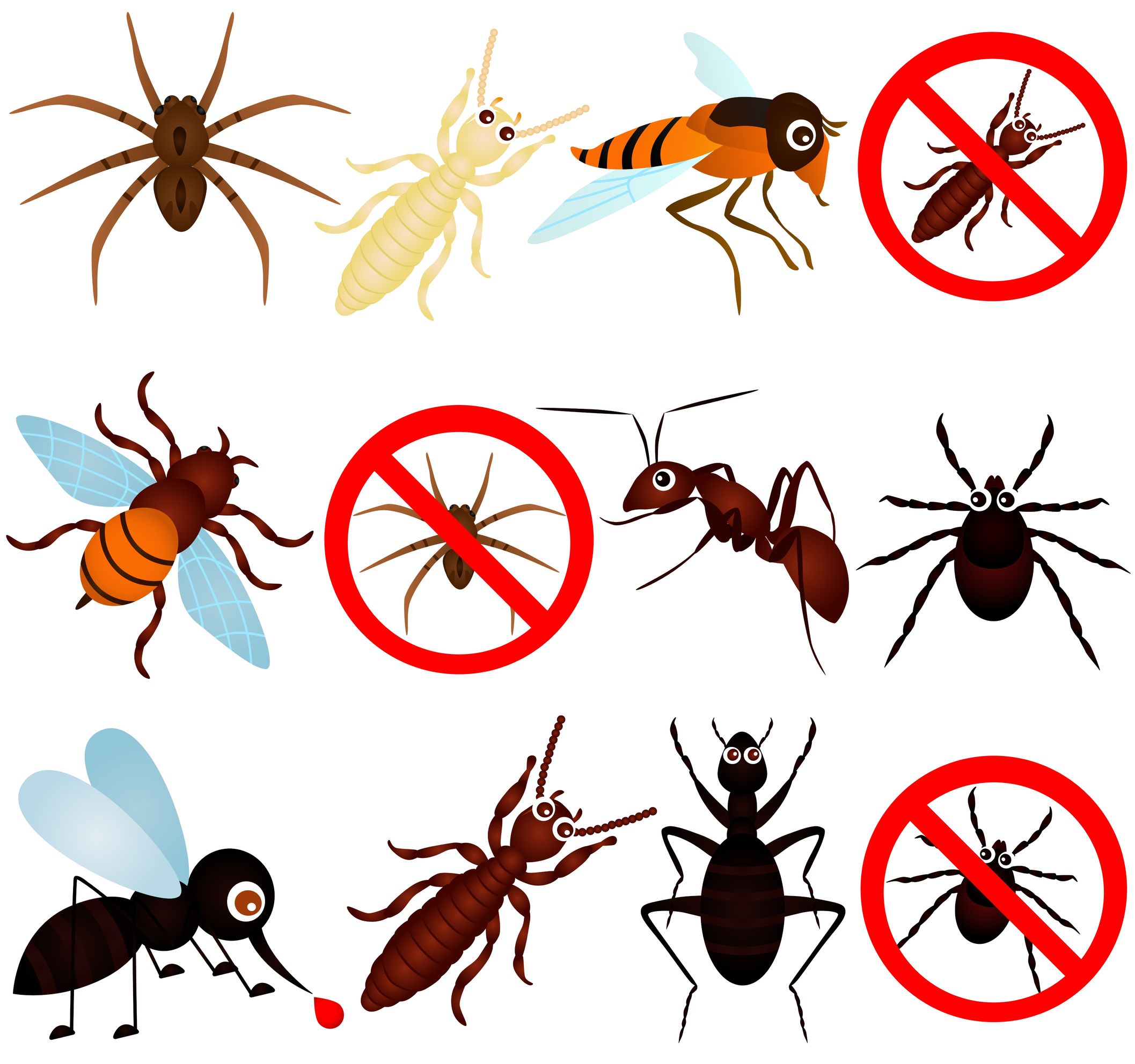 Tips for Picking the Best Residential Pest Control in Virginia Beach VA