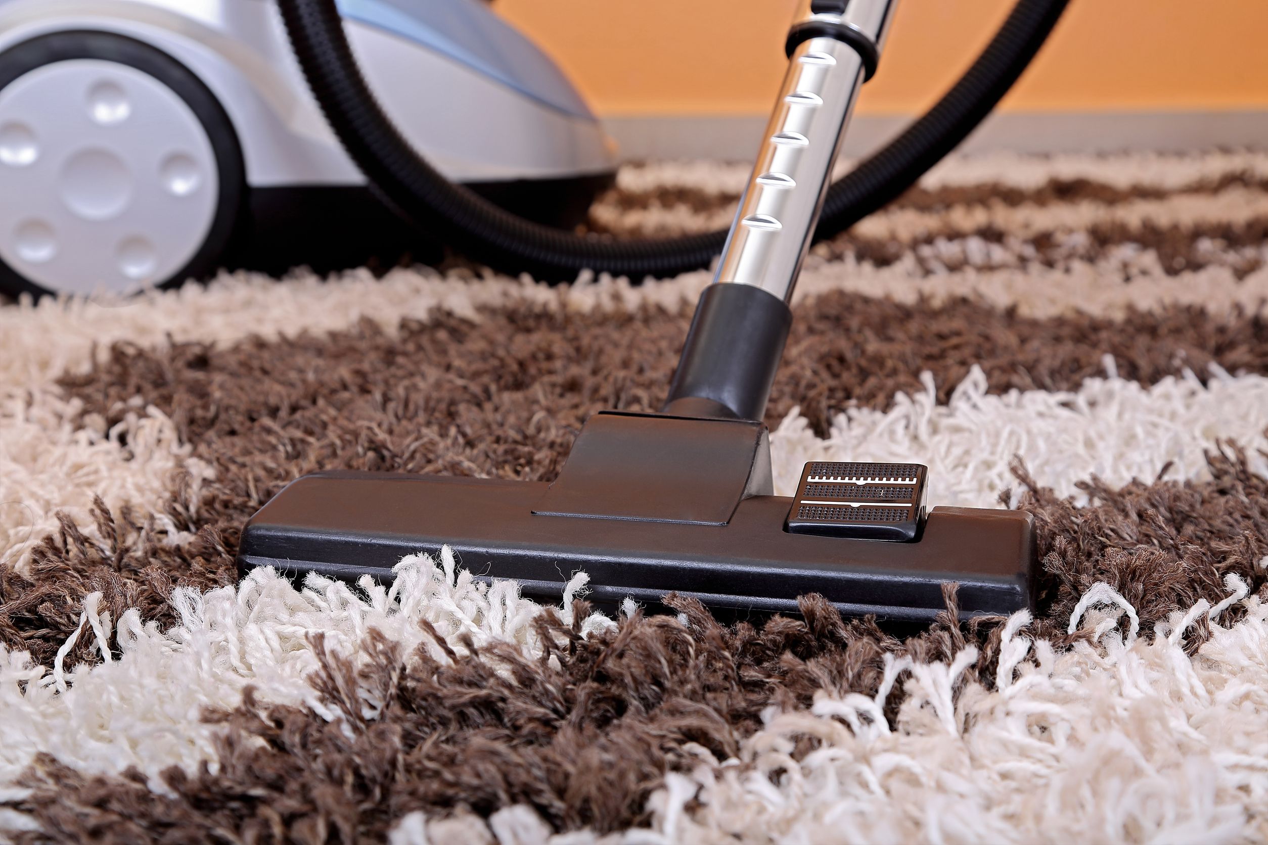 Untangling the Mysteries of Area Rug Cleaning in Bellevue