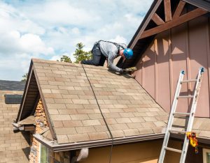 You Need Wildlife Removal Pros to Deal with Flying Squirrels in an Attic in Newnan, GA